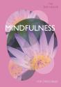 Tiny Healer: Mindfulness - Preview
