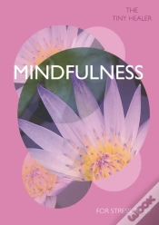 Capa do artigo Tiny Healer: Mindfulness