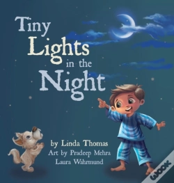Capa do artigo Tiny Lights In The Night