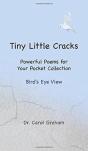 Tiny Little Cracks - Preview
