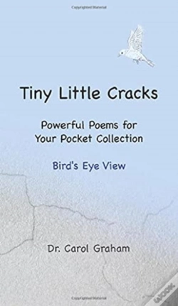 Capa do artigo Tiny Little Cracks