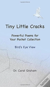 Capa do artigo Tiny Little Cracks