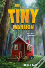 Capa do artigo Tiny Mansion