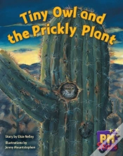 Capa do artigo Tiny Owl And Prickly Plant