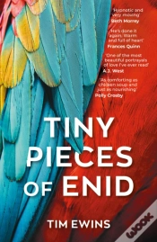 Capa do artigo Tiny Pieces Of Enid
