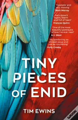 Capa do artigo Tiny Pieces Of Enid