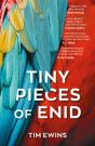 Tiny Pieces Of Enid - Preview
