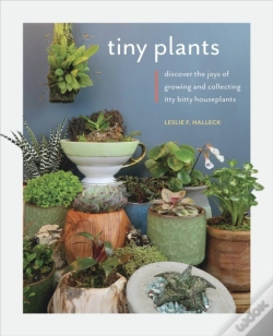 Capa do artigo Tiny Plants