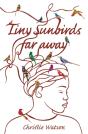 Tiny Sunbirds Far Away - Preview