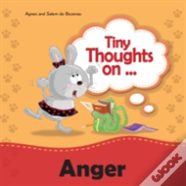 Tiny Thoughts On Anger