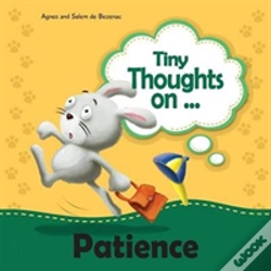 Capa do artigo Tiny Thoughts On Patience