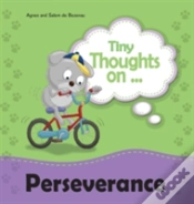 Capa do artigo Tiny Thoughts On Perseverance