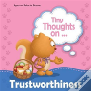 Tiny Thoughts On Trustworthiness
