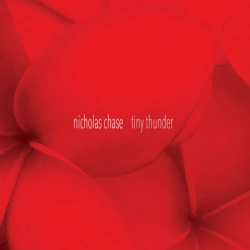 Capa do artigo tiny thunder - CD
