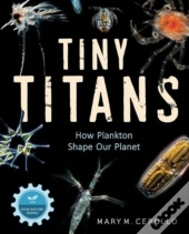 Tiny Titans