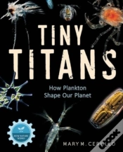 Capa do artigo Tiny Titans