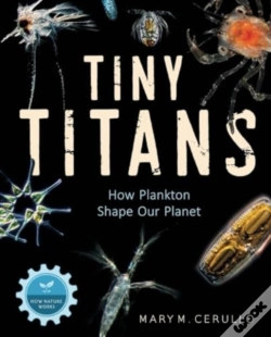 Capa do artigo Tiny Titans
