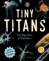 Tiny Titans