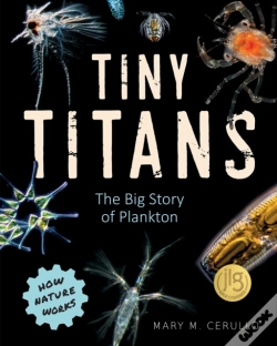 Capa do artigo Tiny Titans