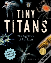 Capa do artigo Tiny Titans