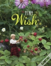 Capa do artigo Tiny Wish The