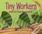 Capa do artigo Tiny Workers