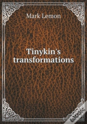 Capa do artigo Tinykin