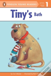 Capa do artigo Tiny