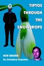 Tiptoe Through The Snowdrops - Preview