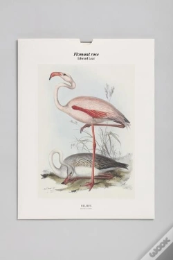 Capa do artigo Tirage Bnf : Flamant Rose