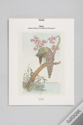 Tirage Bnf : Paon