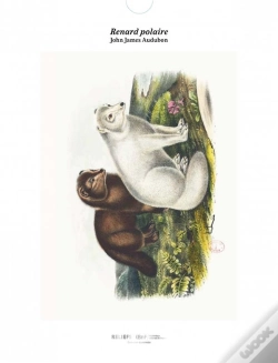 Capa do artigo Tirage : Renard Polaire