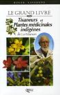 Tisaneurs Et Plantes Médicinales Indigènes De La Réunion - Preview