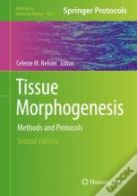 Tissue Morphogenesis