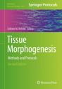 Tissue Morphogenesis - Preview