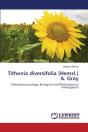 Tithonia Diversifolia (Hemsl.) A. Gray - Preview