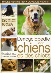 Capa do artigo Titre A Reutiliser