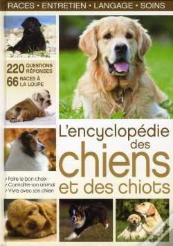 Capa do artigo Titre A Reutiliser