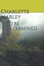 To Be Determined - Preview