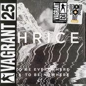 Capa do artigo To Be Everywhere Is To Be Nowhere - Vinil