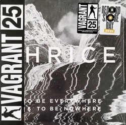 Capa do artigo To Be Everywhere Is To Be Nowhere - Vinil