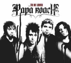 Capa do artigo To Be Loved - CD