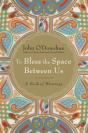 To Bless The Space Between Us - Preview