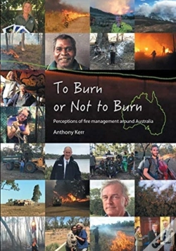 Capa do artigo To Burn Or Not To Burn