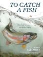 To Catch A Fish - Preview
