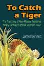 To Catch A Tiger - Preview