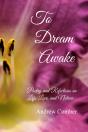 To Dream Awake - Preview
