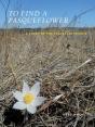 To Find A Pasqueflower - Preview