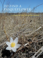 To Find A Pasqueflower