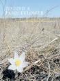To Find A Pasqueflower - Preview